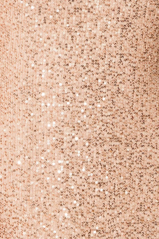 Elegant Champagne Sequin Dress