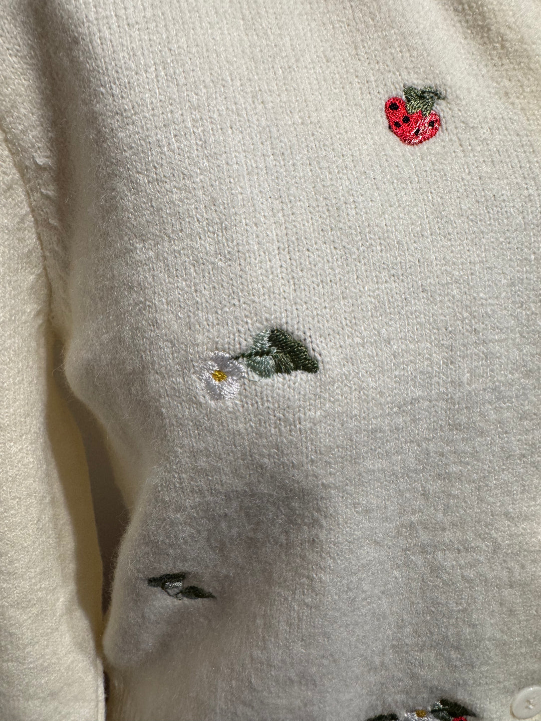 Clara’s Berry Embroidered Cardigan